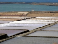 Salinas de Janubio