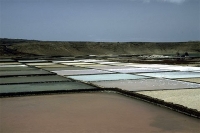 Salinas de Janubio