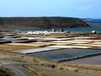 Salinas de Janubio