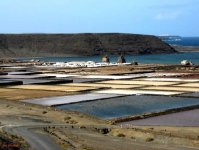 Salinas de Janubio