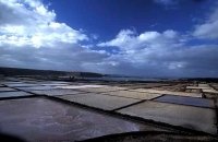 Salinas de Janubio