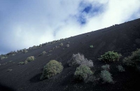 Timanfaya National Park 