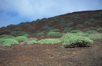 Timanfaya National Park 