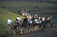 Timanfaya National Park 